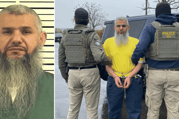 ICE arrests ‘criminal alien’ released from prison with sex crimes conviction