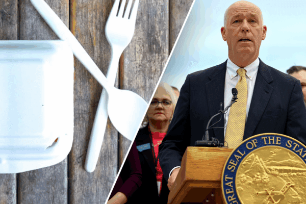 Red state governor shoots down bill banning this common hospitality industry item